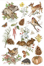 Load image into Gallery viewer, The Bramblewood Diaries IOD Transfer 8"x12" Pad (8 Sheets)