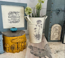 Load image into Gallery viewer, Toadstool Mould™ by IOD (6"x10") - Iron Orchid Designs