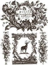 Load image into Gallery viewer, Twelfth Night Decor Paint Inlay™ by IOD (Pad of 8 - 12"x16" sheets)