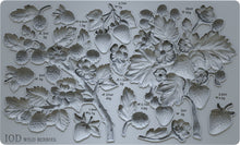Load image into Gallery viewer, Wild Berries 6X10 IOD Mould