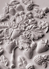 Load image into Gallery viewer, Wild Berries 6X10 IOD Mould