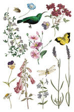 Load image into Gallery viewer, Wilde Bloemen Transfer™ by IOD (Pad of 8 - 8"x12" sheets)