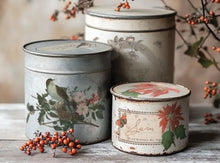 Load image into Gallery viewer, Winter Botanist IOD Transfer 8"x12" Pad (8 Sheets)