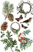Load image into Gallery viewer, Winter Botanist IOD Transfer 8"x12" Pad (8 Sheets)