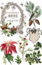 Load image into Gallery viewer, Winter Botanist IOD Transfer 8"x12" Pad (8 Sheets)