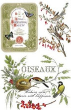 Load image into Gallery viewer, Winter Botanist IOD Transfer 8"x12" Pad (8 Sheets)