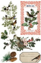 Load image into Gallery viewer, Winter Botanist IOD Transfer 8"x12" Pad (8 Sheets)