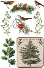 Load image into Gallery viewer, Winter Botanist IOD Transfer 8"x12" Pad (8 Sheets)