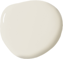 Load image into Gallery viewer, Old White Annie Sloan Wall Paint®