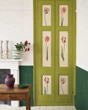 Load image into Gallery viewer, Knightsbridge Green Annie Sloan Wall Paint®