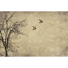 Load image into Gallery viewer, Flying Bird - Mint by Michelle Decoupage Paper