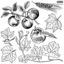 Load image into Gallery viewer, Fruitful Harvest 12x12 IOD Stamp