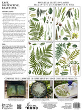 Load image into Gallery viewer, Fronds Botanical IOD Transfer 12"x16" Pad (4 Sheets)