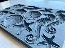 Load image into Gallery viewer, Sea Shells 6X10 IOD Mould