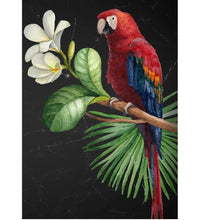 Load image into Gallery viewer, Parrot  - Mint by Michelle Decoupage Paper