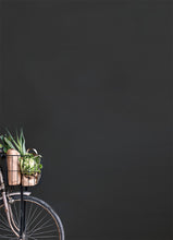 Load image into Gallery viewer, Graphite Annie Sloan Wall Paint®