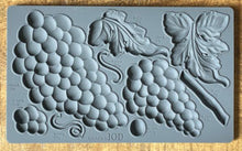 Load image into Gallery viewer, Grapes 6X10 IOD Mould