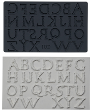 Load image into Gallery viewer, Victoria 6X10 IOD Mould 6X10 Mould