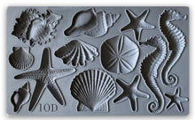 Load image into Gallery viewer, Iron Orchid Designs Sea Shells Decor Moulds (6x10)