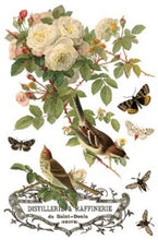 Load image into Gallery viewer, By Any Other Name Transfer™ by IOD (Pad of 8 - 8"x12" sheets)
