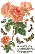 Load image into Gallery viewer, By Any Other Name Transfer™ by IOD (Pad of 8 - 8"x12" sheets)
