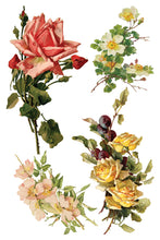 Load image into Gallery viewer, Catharina Decor Transfer™ by IOD (Pad of 8 - 8&quot;x12&quot; sheets)
