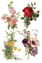 Load image into Gallery viewer, Catharina Decor Transfer™ by IOD (Pad of 8 - 8&quot;x12&quot; sheets)
