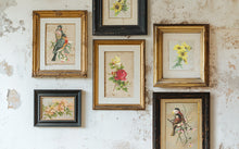 Load image into Gallery viewer, Catharina Decor Transfer™ by IOD (Pad of 8 - 8&quot;x12&quot; sheets)
