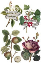 Load image into Gallery viewer, Clementine IOD Transfer 8&quot;x12&quot; Pad (8 Sheets)
