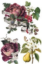 Load image into Gallery viewer, Clementine IOD Transfer 8&quot;x12&quot; Pad (8 Sheets)
