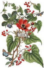 Load image into Gallery viewer, Clementine IOD Transfer 8&quot;x12&quot; Pad (8 Sheets)
