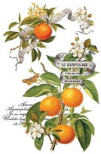 Load image into Gallery viewer, Clementine IOD Transfer 8&quot;x12&quot; Pad (8 Sheets)

