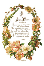 Load image into Gallery viewer, Lover of Flowers Decor Transfer™ by IOD (Pad of 8 - 8&quot;x12&quot; sheets) - Iron Orchid Designs
