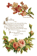 Load image into Gallery viewer, Lover of Flowers Decor Transfer™ by IOD (Pad of 8 - 8&quot;x12&quot; sheets) - Iron Orchid Designs
