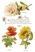 Load image into Gallery viewer, Lover of Flowers Decor Transfer™ by IOD (Pad of 8 - 8&quot;x12&quot; sheets) - Iron Orchid Designs
