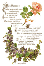 Load image into Gallery viewer, Lover of Flowers Decor Transfer™ by IOD (Pad of 8 - 8&quot;x12&quot; sheets) - Iron Orchid Designs
