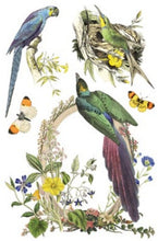 Load image into Gallery viewer, Flora Greca Transfer™ by IOD (Pad of 8 - 8"x12" sheets)
