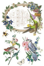 Load image into Gallery viewer, Flora Greca Transfer™ by IOD (Pad of 8 - 8"x12" sheets)
