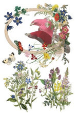 Load image into Gallery viewer, Flora Greca Transfer™ by IOD (Pad of 8 - 8"x12" sheets)
