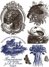 Load image into Gallery viewer, Hameau de la Reine Decor Paint Inlay™ by IOD (Pad of 8 - 12"x16" sheets)
