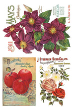 Load image into Gallery viewer, Seed Catalogue IOD Transfer 8&quot;x12&quot; Pad (8 Sheets)
