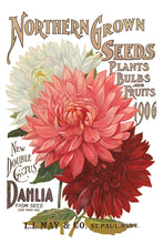 Load image into Gallery viewer, Seed Catalogue IOD Transfer 8&quot;x12&quot; Pad (8 Sheets)
