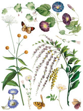 Load image into Gallery viewer, Marché Des Fleurs Transfer™ by IOD (Pad of 8 - 12"x16" sheets)
