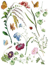 Load image into Gallery viewer, Marché Des Fleurs Transfer™ by IOD (Pad of 8 - 12"x16" sheets)
