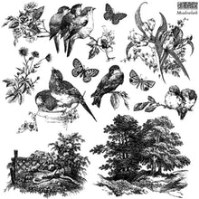 Load image into Gallery viewer, Meadowlark Decor Stamp™ by IOD (12"x12") - Iron Orchid Designs
