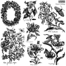 Load image into Gallery viewer, Nature's Etchings 12x12 IOD Stamp
