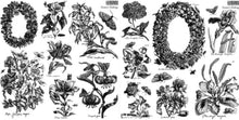 Load image into Gallery viewer, Nature's Etchings 12x12 IOD Stamp
