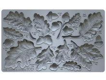 Load image into Gallery viewer, Oak Leaves &amp; Acorns Mould™ by IOD (6&quot;x10&quot;)
