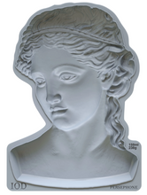 Load image into Gallery viewer, Persephone Mould™ by IOD (5&quot;x7&quot;)
