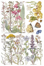 Load image into Gallery viewer, Primrose Isle Transfer™ by IOD (Pad of 8 - 8"x12" sheets)

